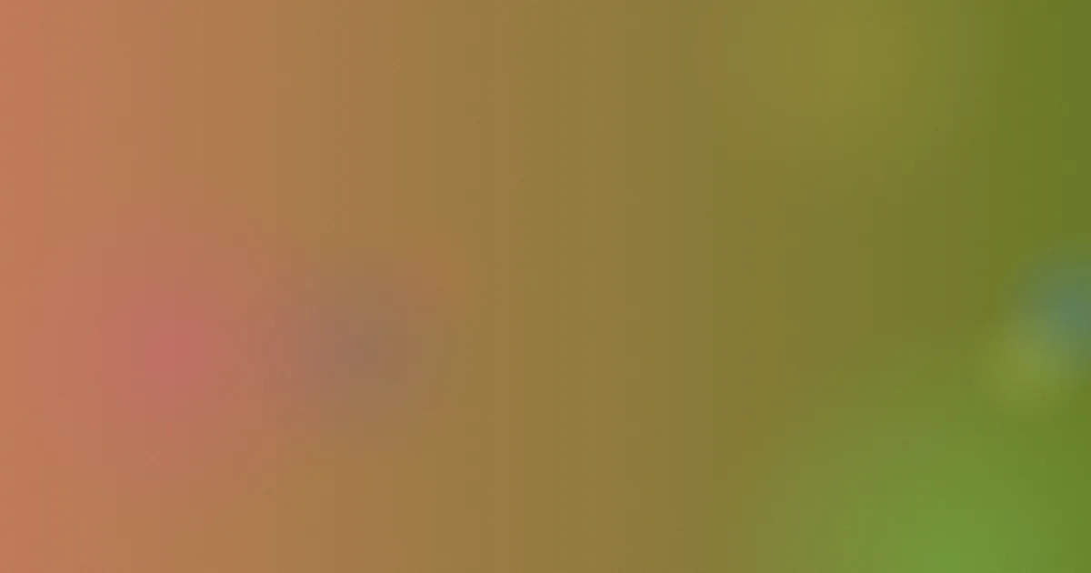 网友自拍视频是什么？一文讲清