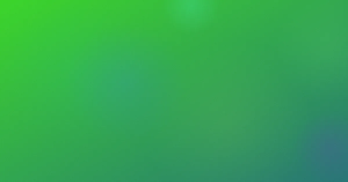 周末的后宫怎么用？检索观看实测